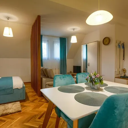 Apartament Stojanovic *