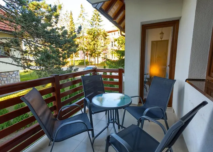 Stojanovic 즐라티보