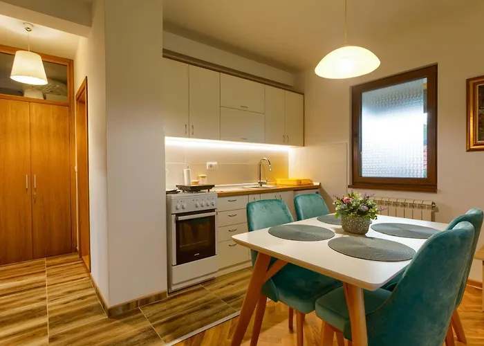 Stojanovic 즐라티보